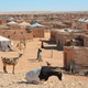 Smara, largest of the five refugee camps in Algeria
Linn Washington Jr.